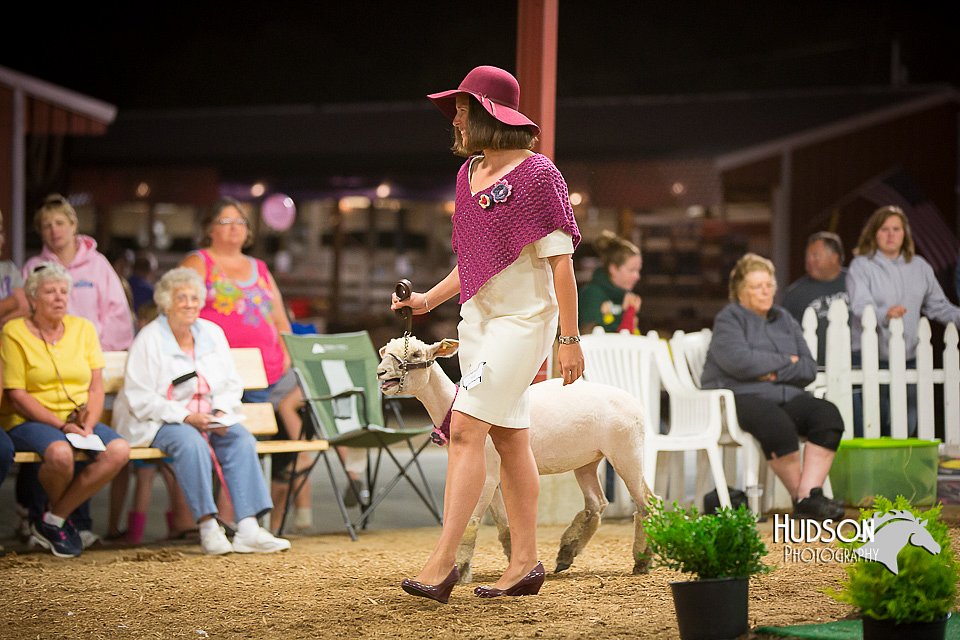 LCFAIR15-7366.jpg