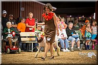 LCFAIR15-7330.jpg