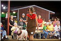 LCFAIR15-7332.jpg