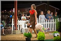 LCFAIR15-7337.jpg