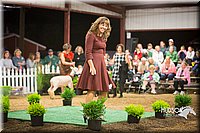 LCFAIR15-7361.jpg