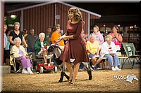 LCFAIR15-7363.jpg