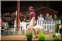 LCFAIR15-7365.jpg