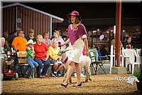 LCFAIR15-7367.jpg