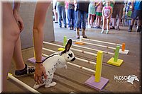 LCFAIR15-6553.jpg