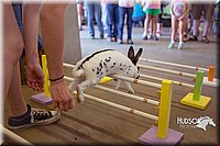 LCFAIR15-6554.jpg