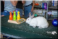 LCFAIR15-7634.jpg