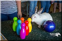 LCFAIR15-7637.jpg