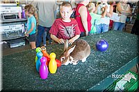 LCFAIR15-7970.jpg