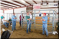 Livestock-Auction