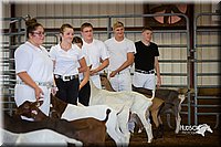 LCFair2016-1297.jpg