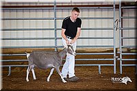 LCFair2016-1299.jpg