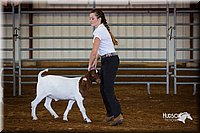 LCFair2016-1307.jpg