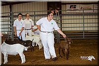 LCFair2016-1310.jpg