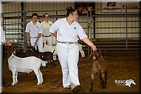 LCFair2016-1311.jpg