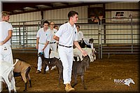 LCFair2016-1313.jpg