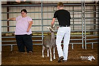 LCFair2016-1314.jpg