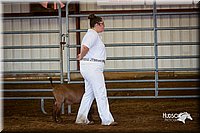 LCFair2016-1315.jpg