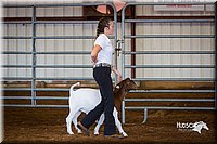 LCFair2016-1316.jpg