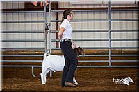 LCFair2016-1317.jpg