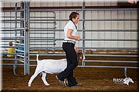 LCFair2016-1318.jpg