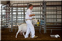 LCFair2016-1319.jpg