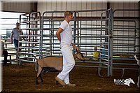 LCFair2016-1320.jpg