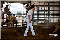 LCFair2016-1321.jpg