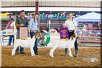 LCFair2016-1811.jpg