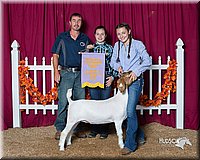 LCFair2016-2221.jpg