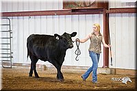 LCFair2016-1489.jpg