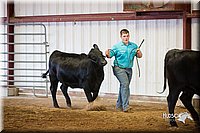 LCFair2016-1491.jpg