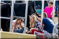 LCFair2016-2050.jpg