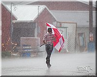 LCFair2016-2271.jpg