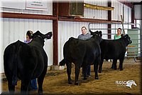 LCFair2016-2058.jpg