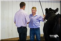 LCFair2016-2061.jpg