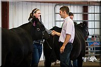 LCFair2016-2072.jpg