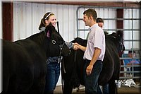 LCFair2016-2074.jpg