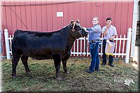 LCFair2016-2103.jpg