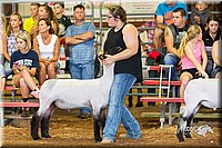 LCFair2016-2238.jpg