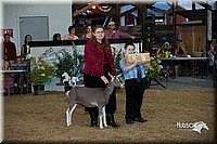 LCFair2016-2545.jpg