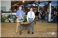 LCFair2016-2553.jpg