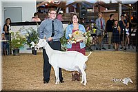 LCFair2016-2556.jpg