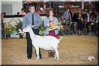 LCFair2016-2557.jpg