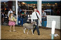 LCFair2016-2558.jpg