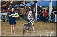 LCFair2016-2562.jpg