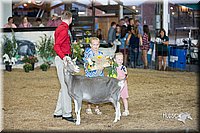 LCFair2016-2564.jpg