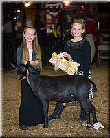 LCFair2016-2572.jpg