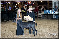 LCFair2016-2573.jpg