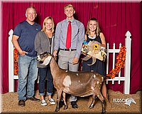 LCFair2016-2576.jpg